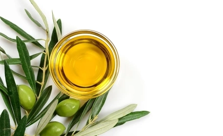 Olive Oil: The Science Behind Health Benefits