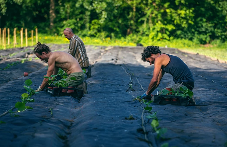  Locals from Ghent, Belgium, participating in Community Supported Agriculture