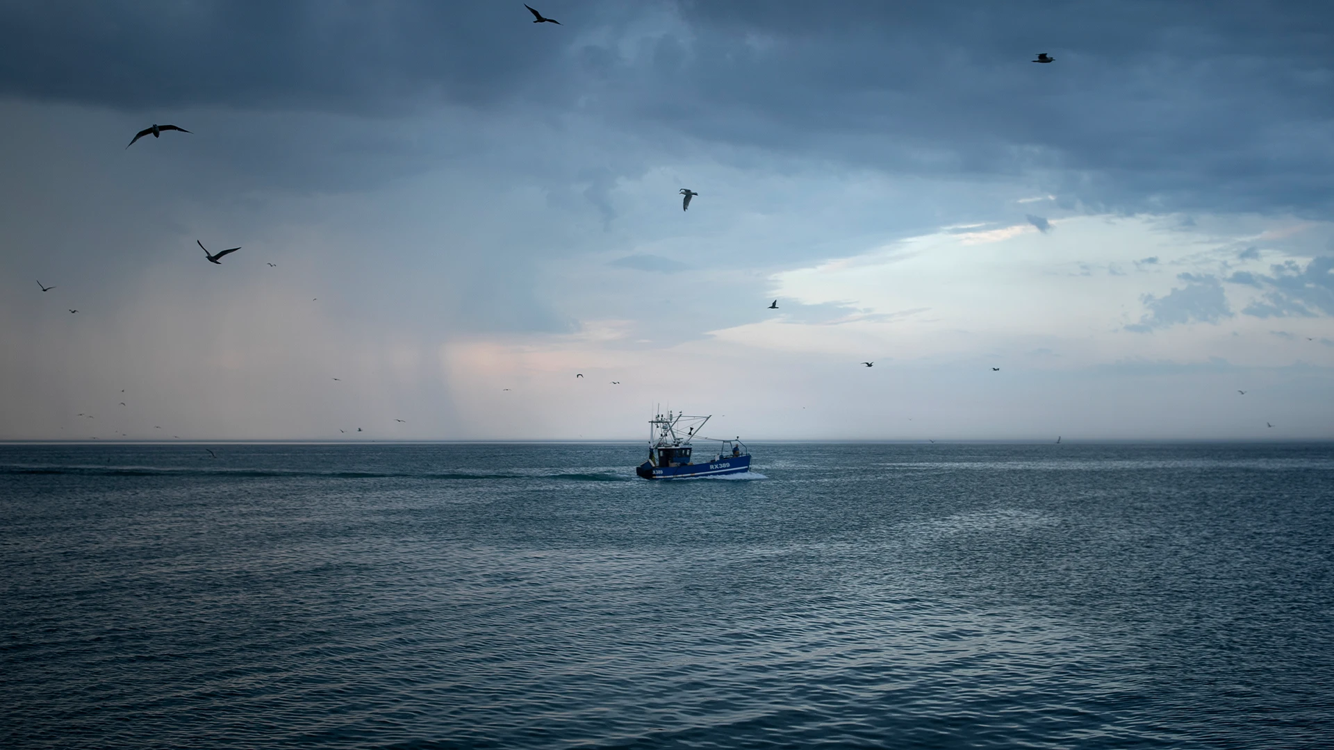 Smallscalefishing_BANNER.webp