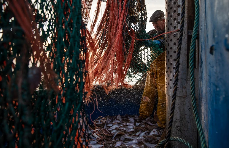 Fishing nets