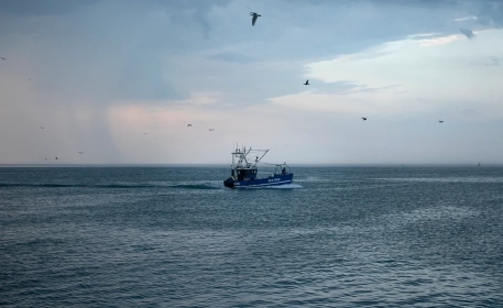 Managing Our Oceans: A Small-Scale Approach