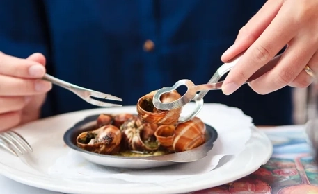 Sind essbare Schnecken eine Quelle für nachhaltiges Fleisch?