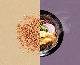 Soba_Banner_THUMB.webp