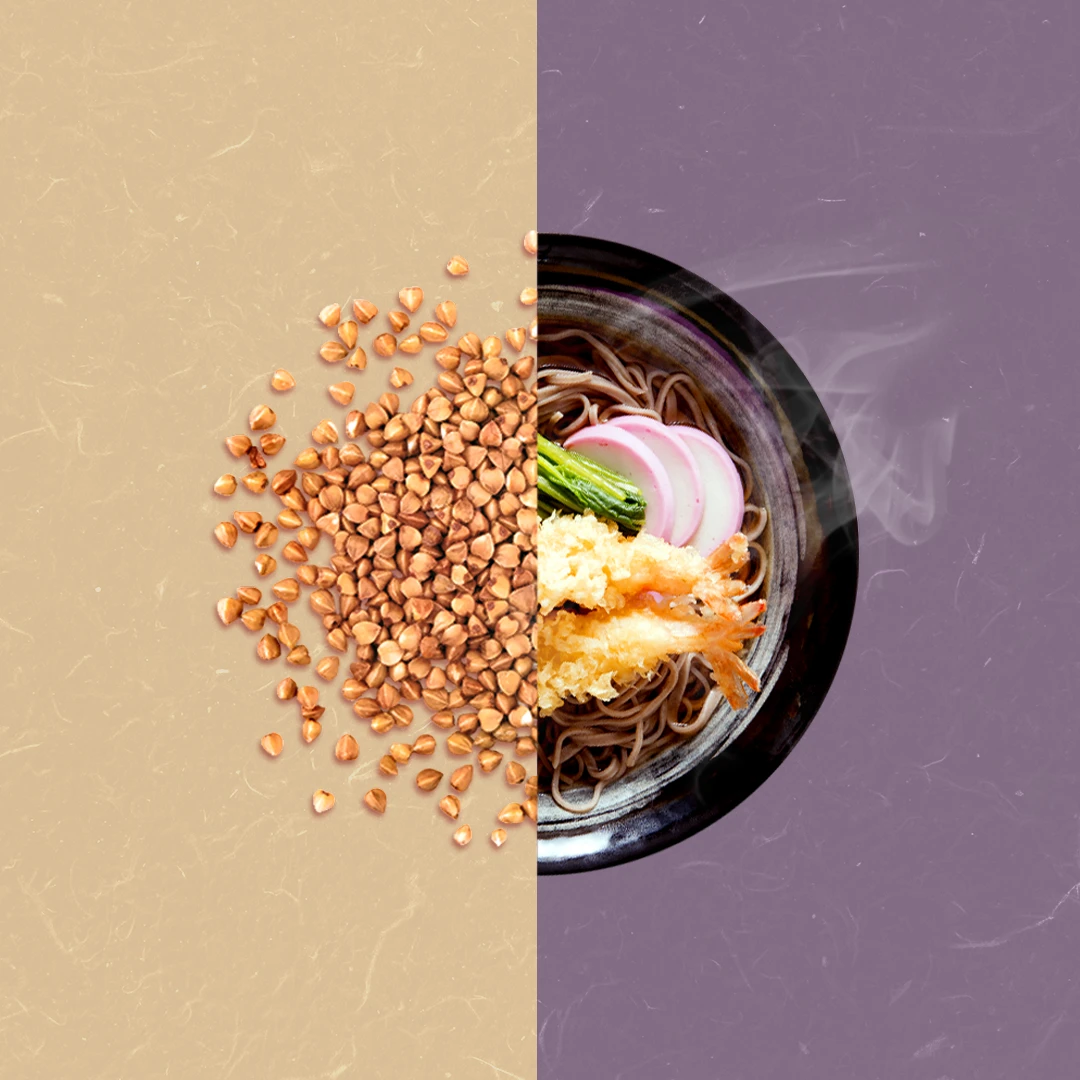 Soba_Banner_THUMB.webp