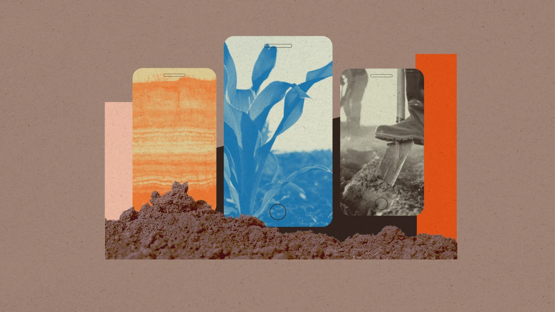 Soil_app_banner.webp