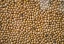 soy-cost-of-production-category.webp