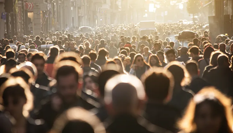 Crowds