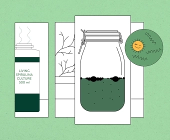 Home Grown Spirulina | Lessons From a Failed Experiment