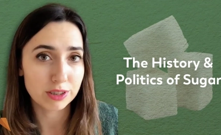 History of Sugar: A Brief Journey