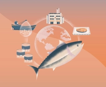 sustainable-seafood-MOOC-header.webp