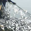 SustainableFishingQuotas_thumb.webp