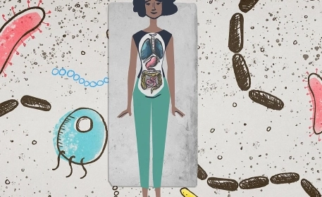 The Human Microbiome