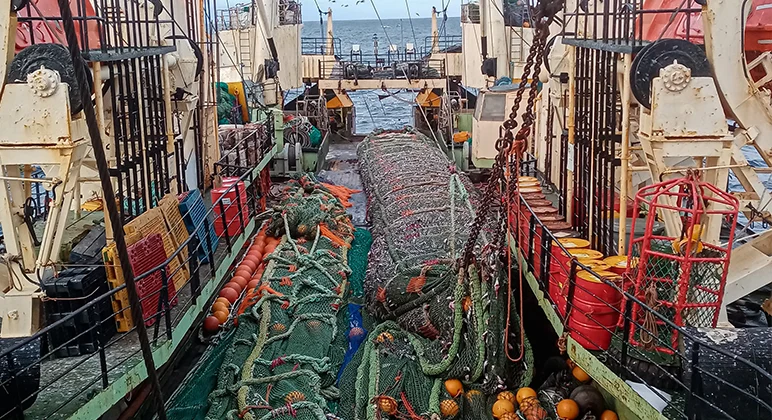 Fishing nets