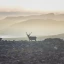 The_World_Of_Hunting_Norway_Thumb.webp