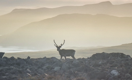 The World Of Hunting on the West Coast of Norway | Interview