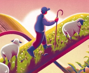 thumb_animals_in_agriculture_are_they_all_bad.webp