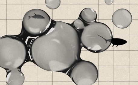Mercury in Seafood | Should We Really Be Concerned?