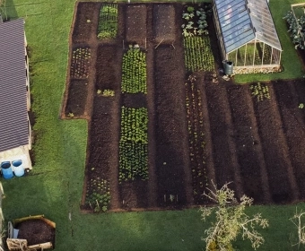 thumb_no_dig_gardening.webp