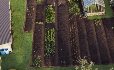 No Dig’ Gardening: A Quiet Revolution