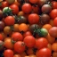 Tomatoes_Cost_of_Production_Thumb_new.webp