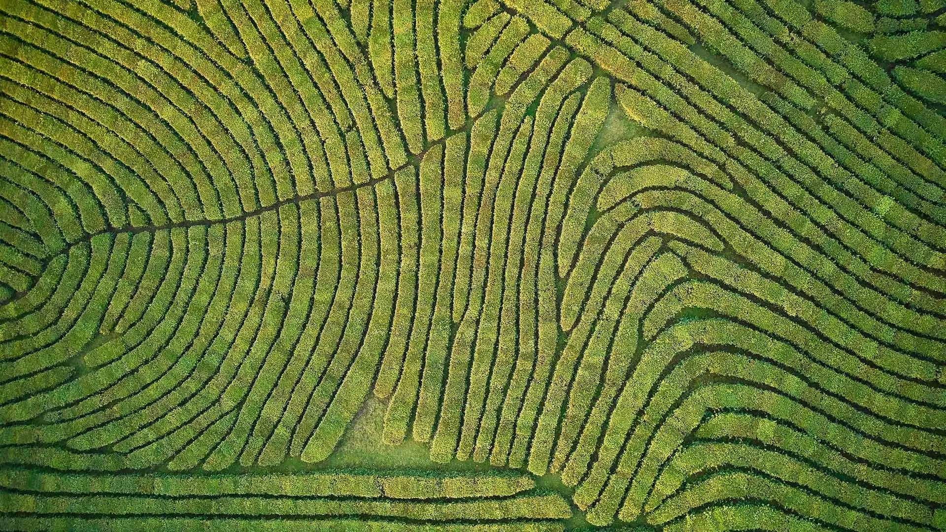 top-banner-precisionfarming.webp