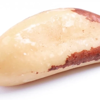 Alimentos tóxicos | 5 Alimentos deliciosos pero mortales