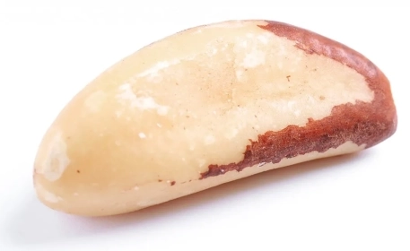 Alimentos tóxicos | 5 Alimentos deliciosos pero mortales