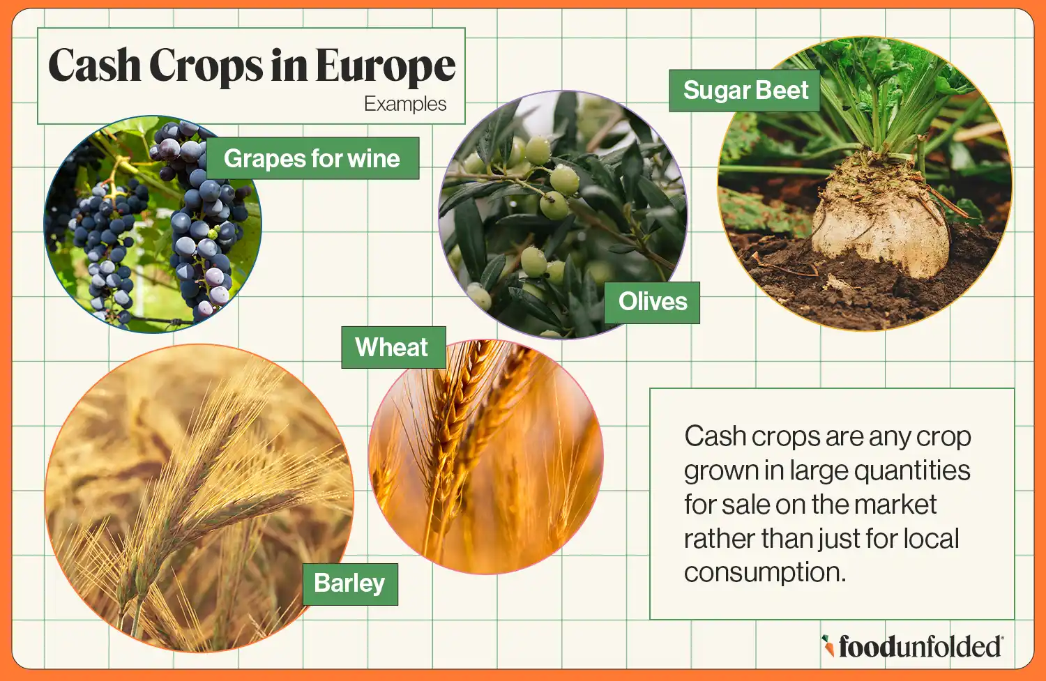 Cash crops in Europe