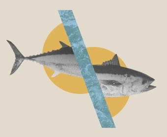 Unsustainable_Fisheries_Thumb.webp
