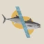 Unsustainable_Fisheries_Thumb.webp