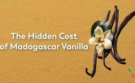 The Social Cost of Bourbon Vanilla Production 