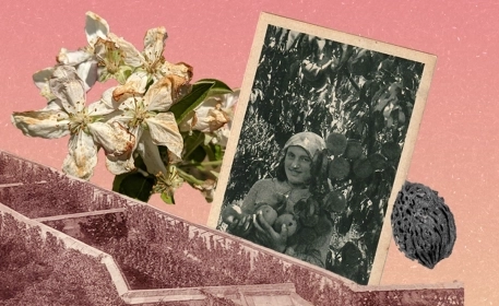 Protecting Italy’s Peaches in a Changing Climate | A Visual Essay 