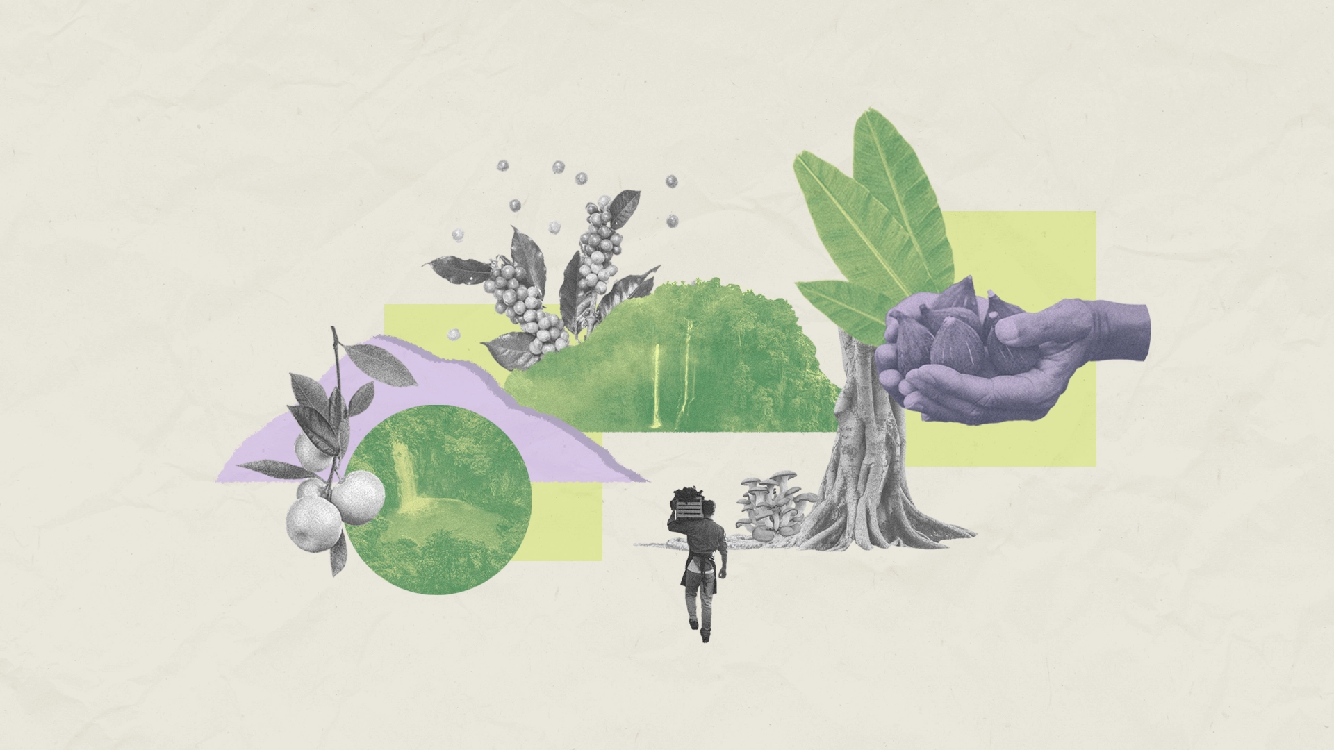 Waldgarten_DE_Article_Banner.webp