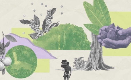 Food Forests | Sustainable Agriculture, Nature’s Way
