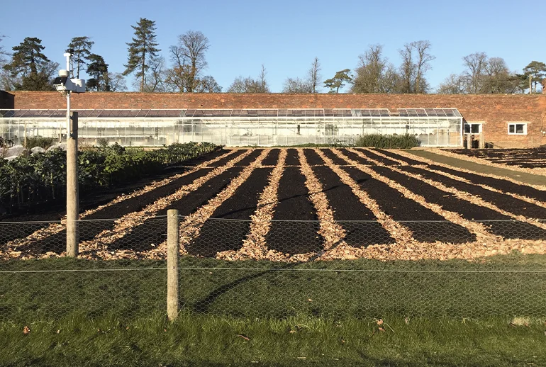 The new no-dig bed extension at Blenheim Palace, doubling the size of the kitchen garden for the 2023 season. (Photo Worthy Earth)