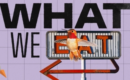 The Environmental Impact Of Our Food | What We Eat Documentary | Episode 4