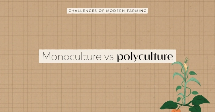 YT_Thumb_MonoPolyCulture.webp