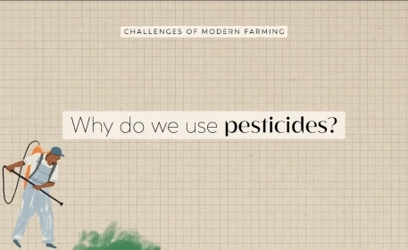 Why Do We Use Pesticides? | FoodUnfolded Animated Short