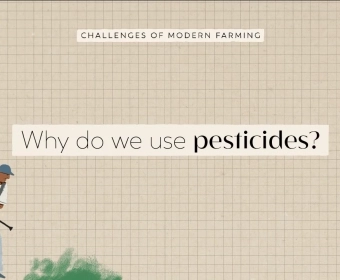 Why Do We Use Pesticides? | FoodUnfolded Animated Short