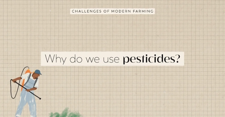 YT_Thumb_Pesticides.webp