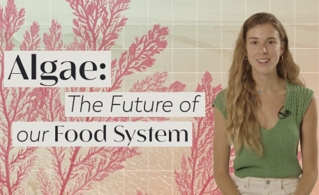 Can Algae Change our Food System?