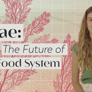 Can Algae Change our Food System?